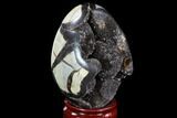 Septarian Dragon Egg Geode - Black Crystals #88328-1
